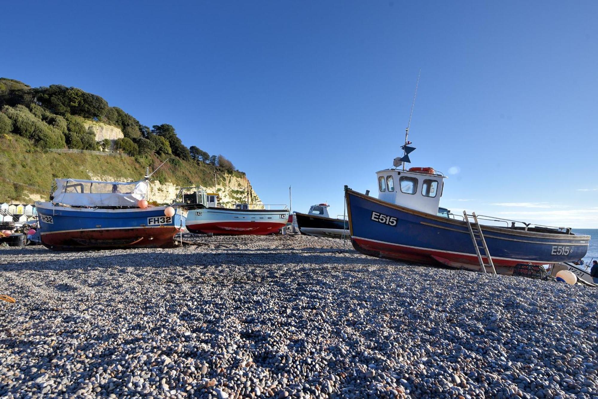 Willa Seaweed Sidmouth Zewnętrze zdjęcie